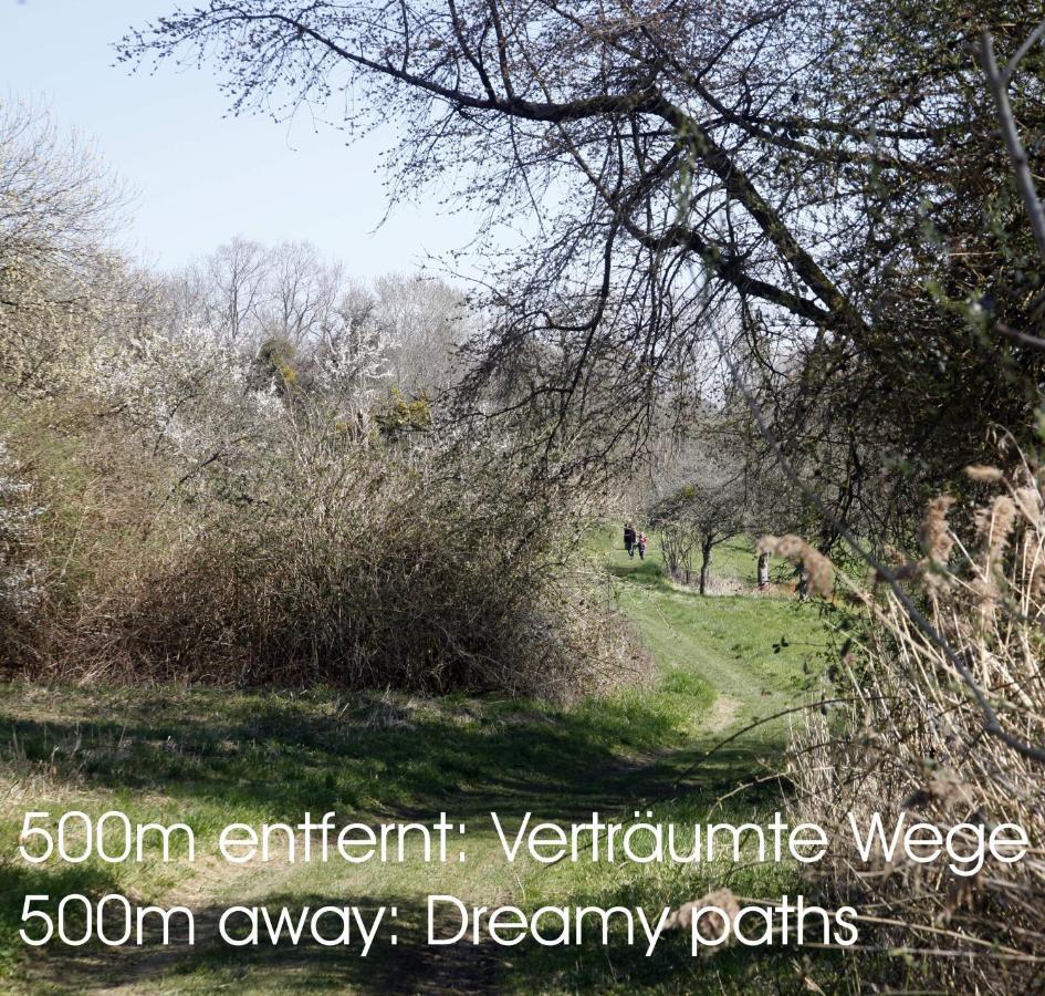Passivhaus 750M Vom Bodensee -- 2X E-Bike Inklusive -- Neubau 2019 Am Ortsrand Ohningen Buitenkant foto
