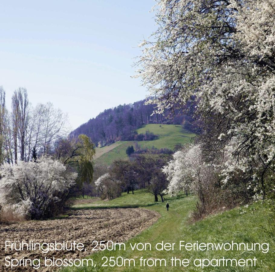 Passivhaus 750M Vom Bodensee -- 2X E-Bike Inklusive -- Neubau 2019 Am Ortsrand Ohningen Buitenkant foto